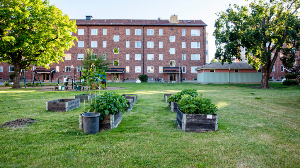 Stadsodling med odlingslådor i Ljura.