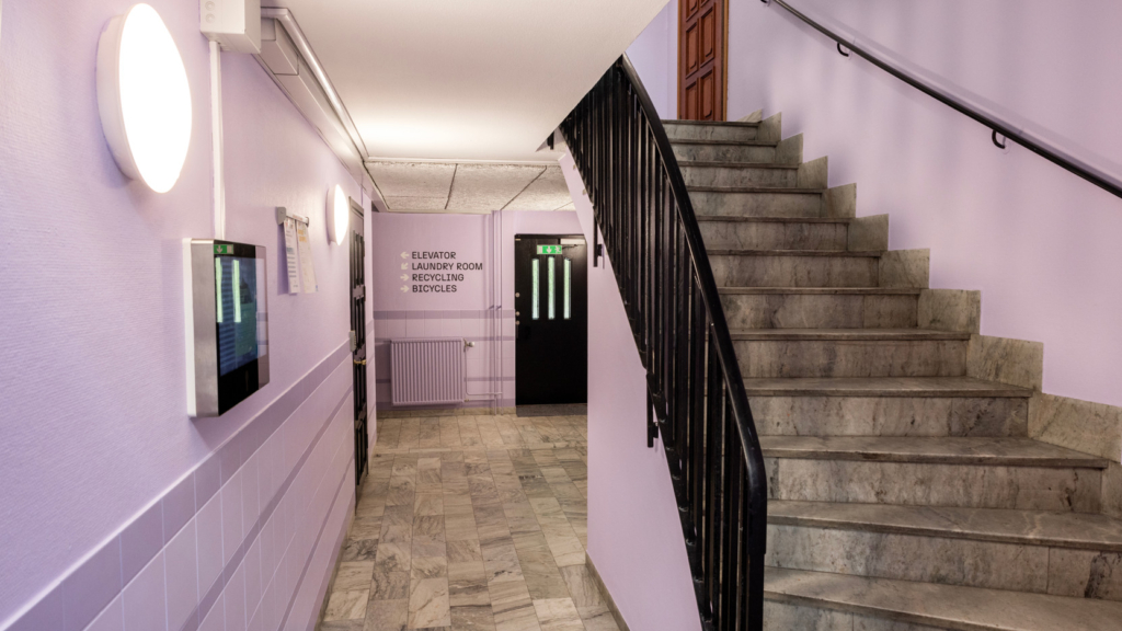 Trapphus i Studentboende Bryggeriet. Lila väggar med en trappa på höger sida.
